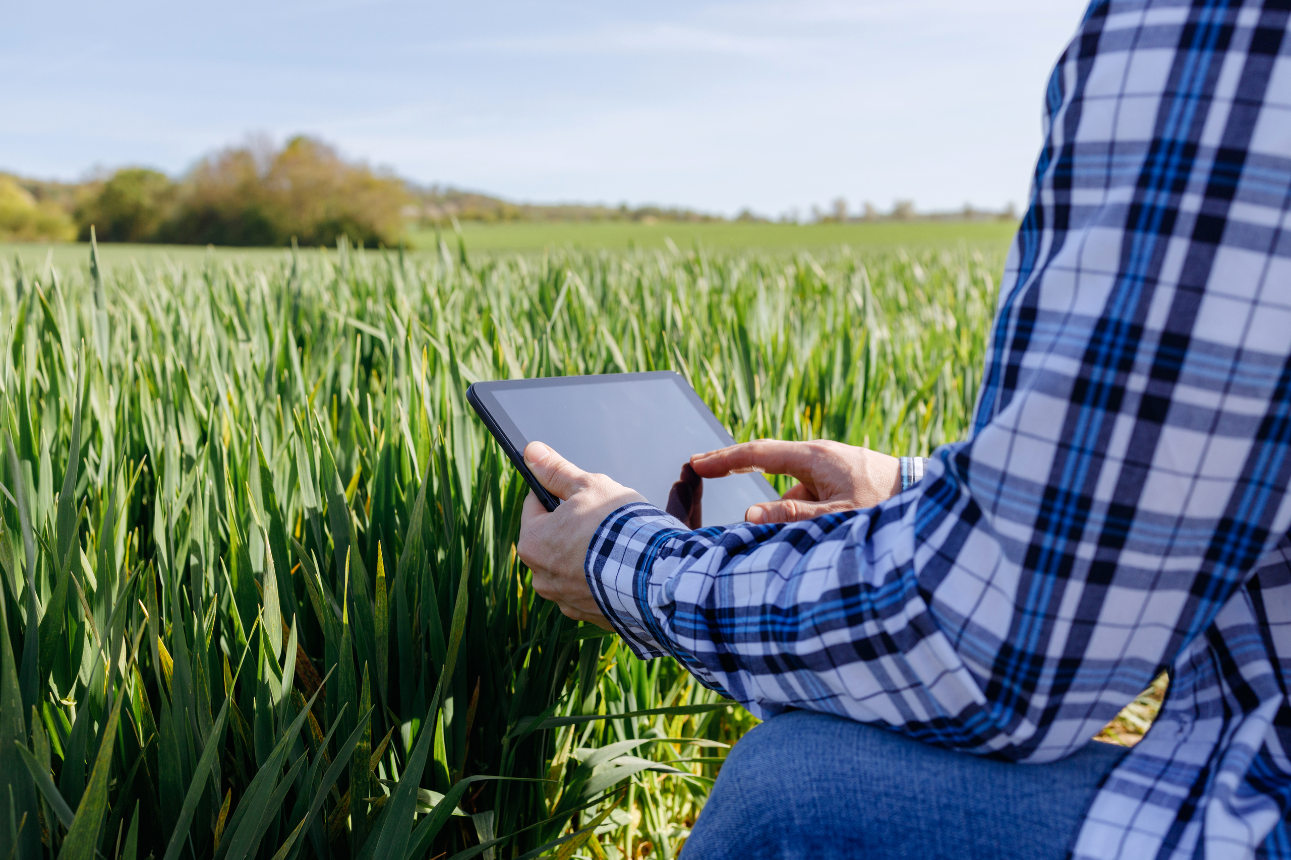 Close-up das mãos de um homem segurando um tablet digital em um campo
